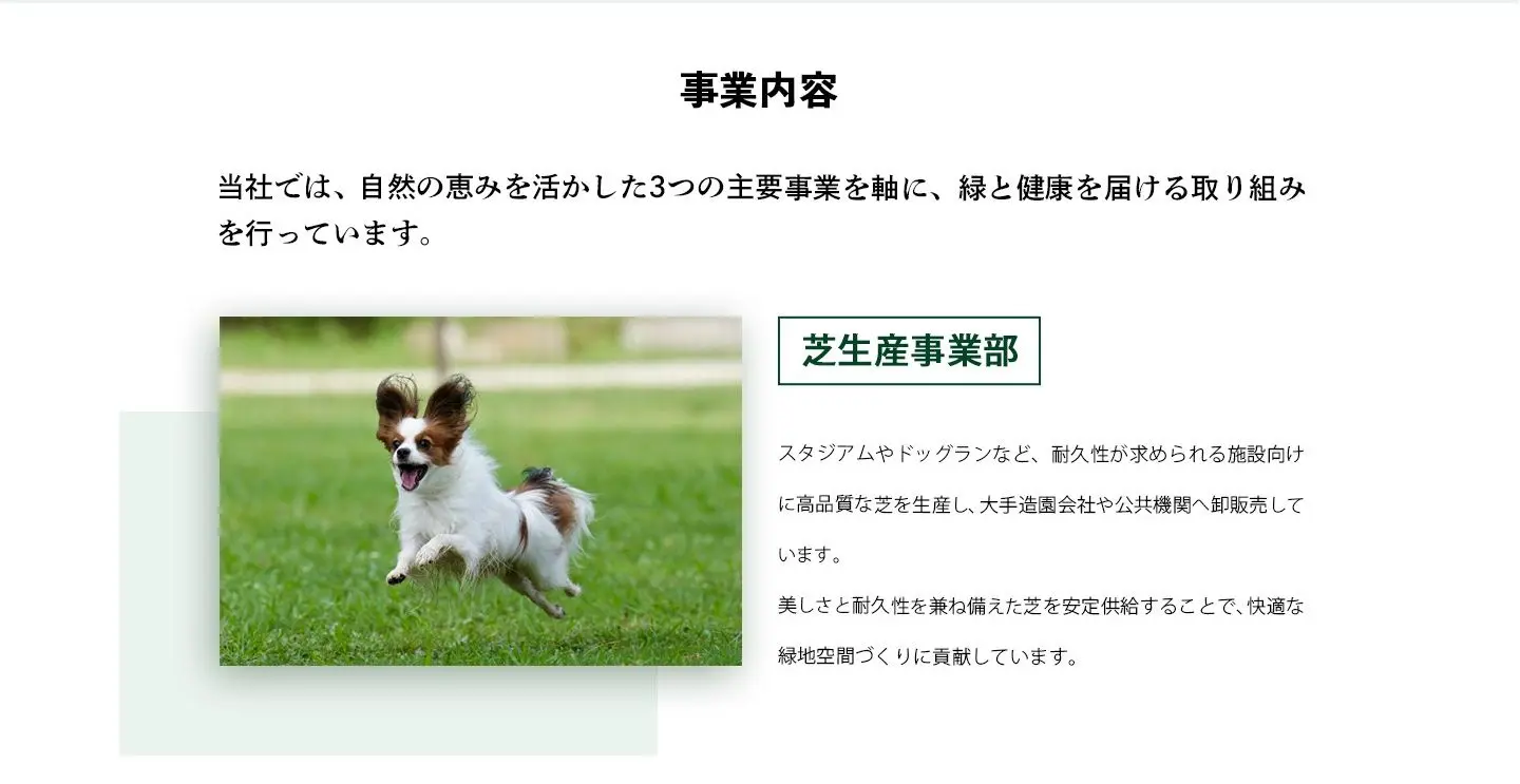 事業内容イメージ